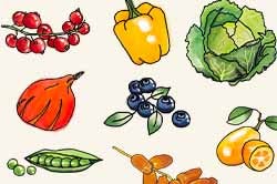 Fruits & légumes : le calendrier de saisonnalité de Juillet 2022, selon Biocoop