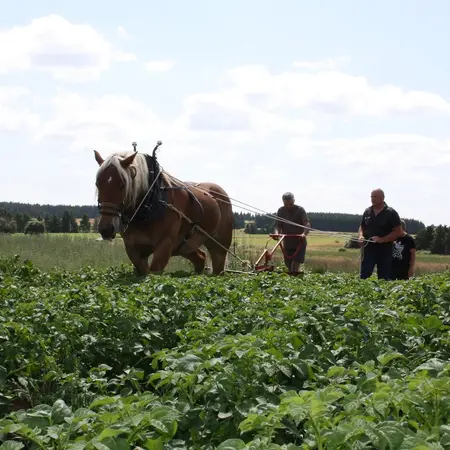 Domaine de l'Hyvert - La Ferme sur un Plateau