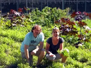 Fleurs de Verveine - Montagnon Nicole et Gilbert