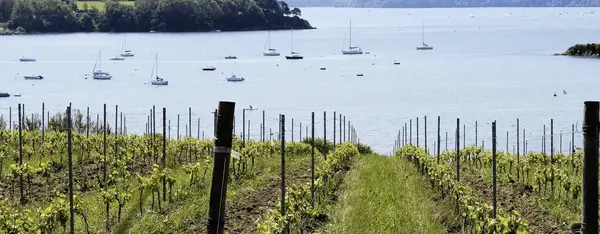 2050, où (en) sera la vigne ?