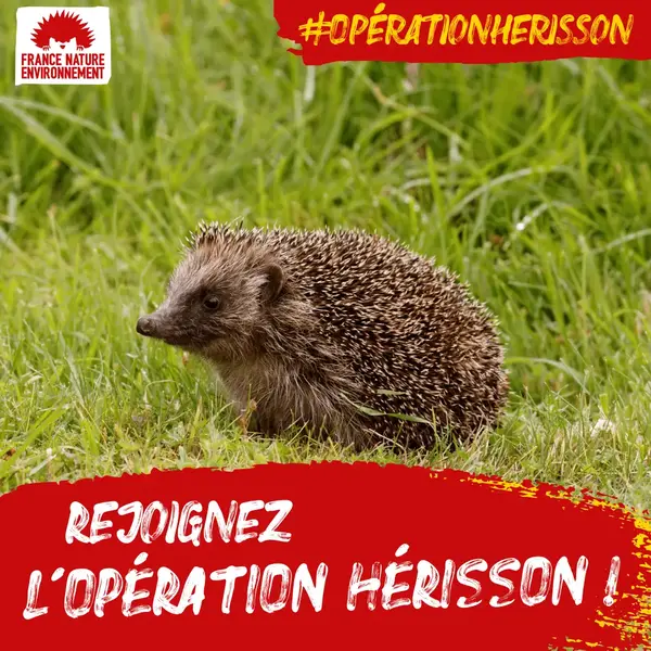 Et si vous rejoingniez l'opération hérisson ?